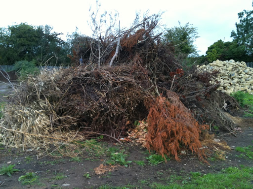 green waste pile